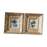 Paintings