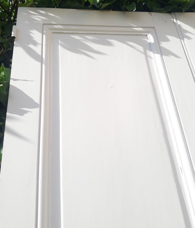 Pair of doors 229,5x110cm closet