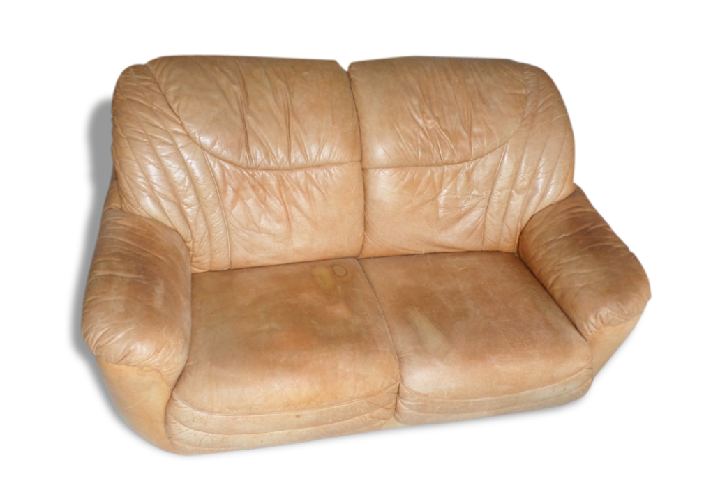 Wild leather sofa