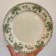 Set of 8 vintage plates in palmyre de sarreguemines iron earth (lot 3)