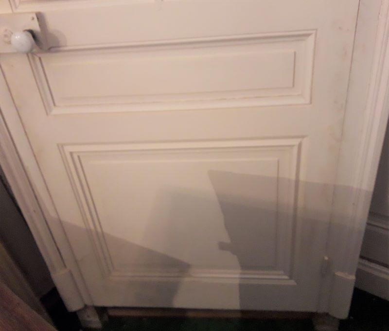 Haussmannian door 82.5x219cm