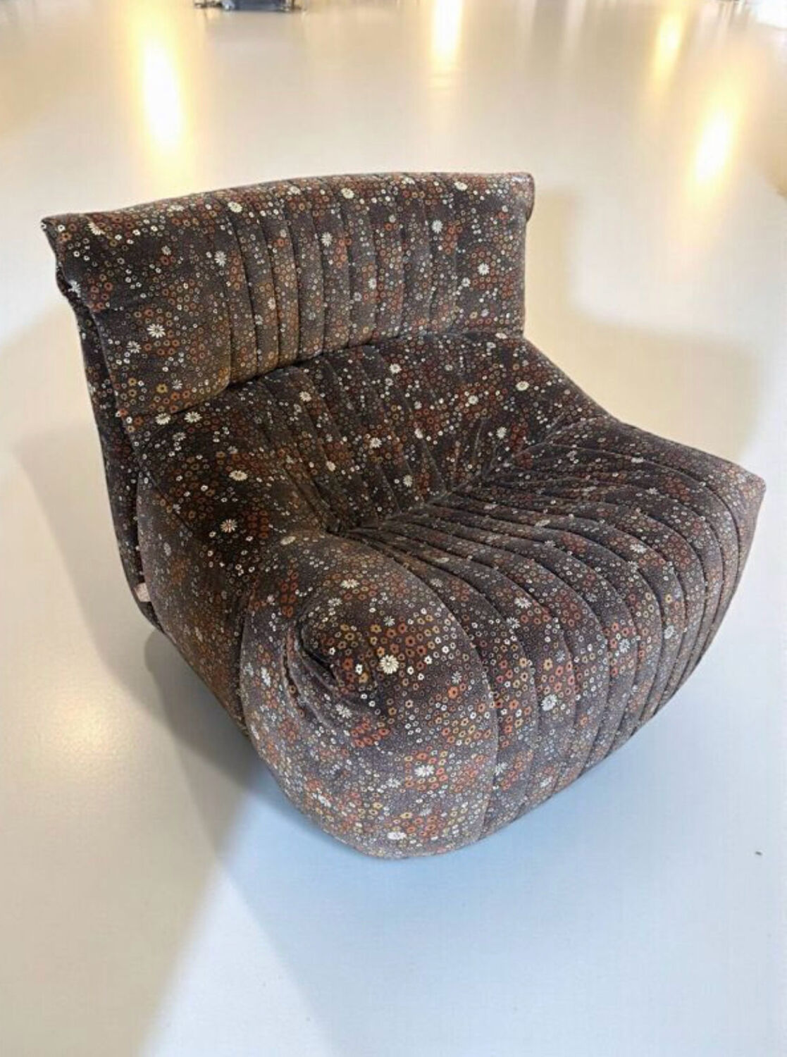 Salon Ariala M. Ducaroy Ligne Roset