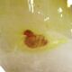 Art glass vase signed by Alfred Collard for Val Saint-Lambert, 1995