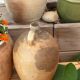 Terracotta jar