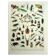 Antique lithograph 1928 A. Millot - Insects, entomology, beetles