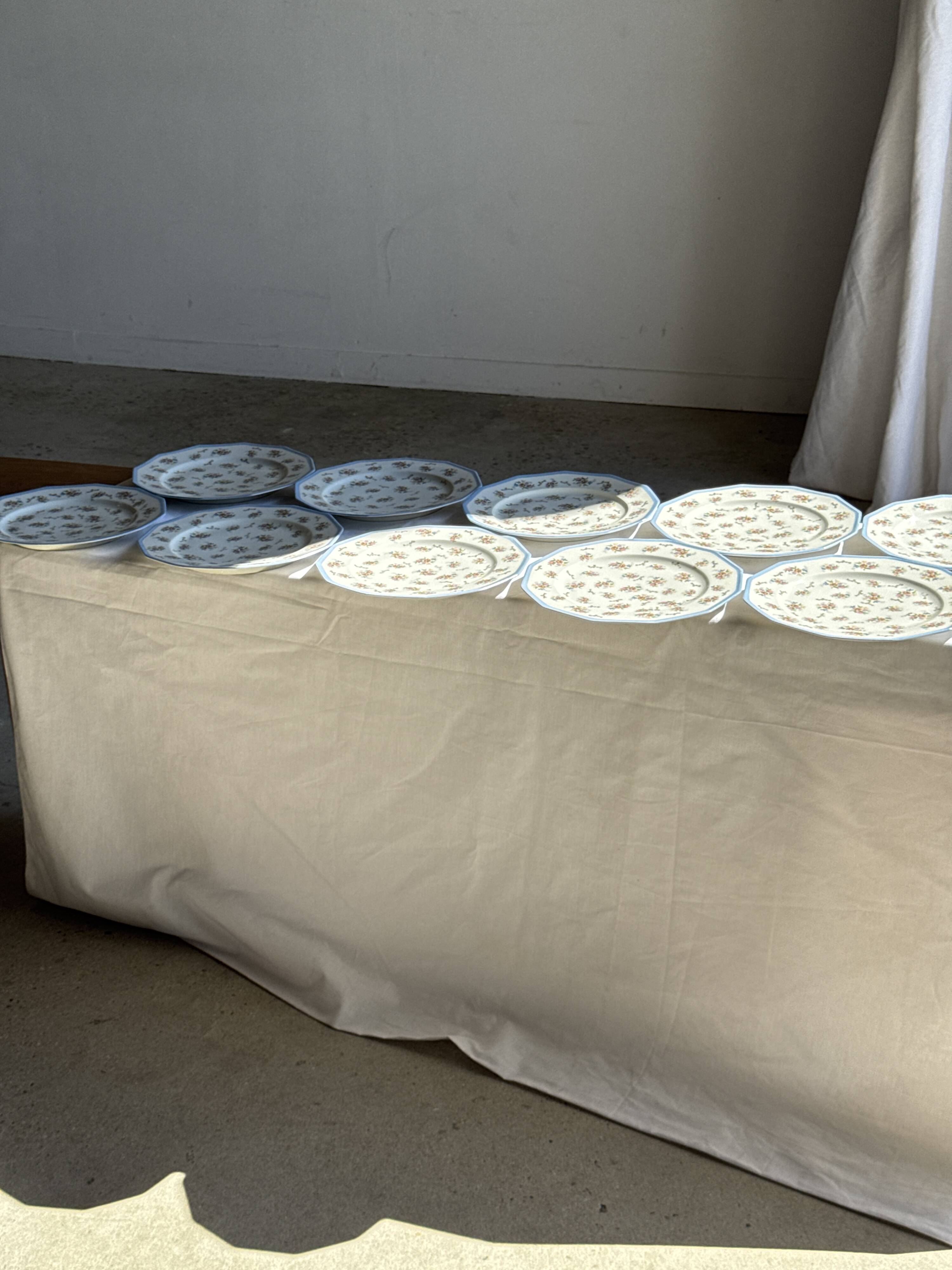 Set of 10 flat plates in Limoges porcelain from France with flowers.