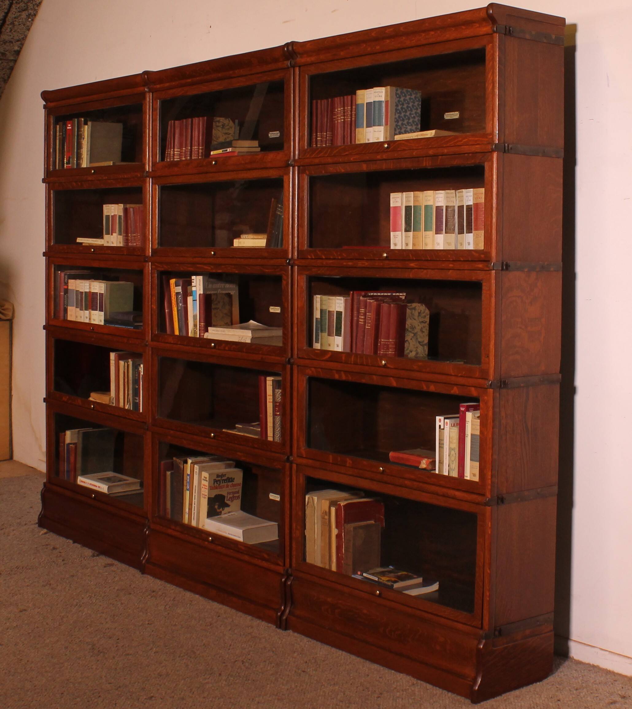 Library Wall of 3 Globe Wernicke Modules in Oak - 19th Century