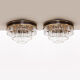 Suite de 2 plafonniers en cristal de Riedinger