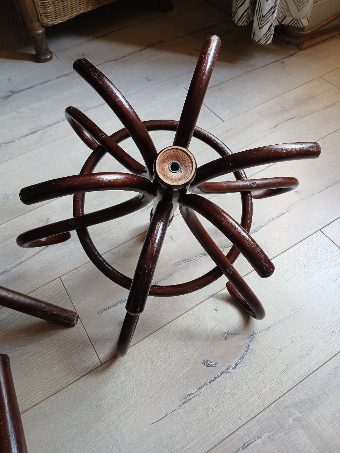 Porte manteau perroquet