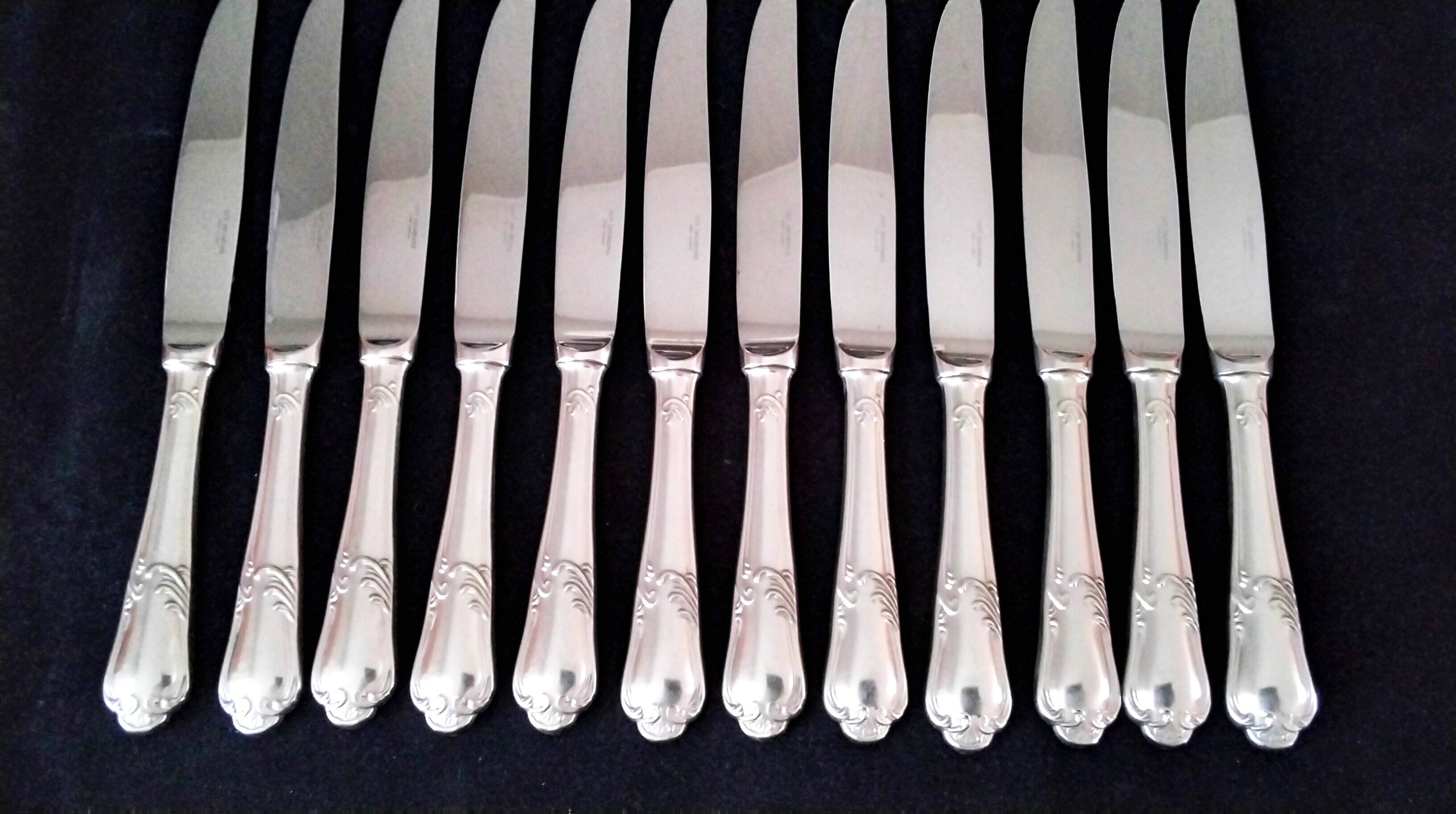 12 Guy Degrenne Rocaille Pattern Table Knives