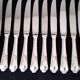 12 Guy Degrenne Rocaille Pattern Table Knives