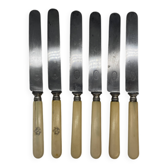 Set of 6 lunch knives with ivory handles.