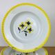 Set of 6 vintage hollow plates in earthenware