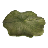 Slip dish