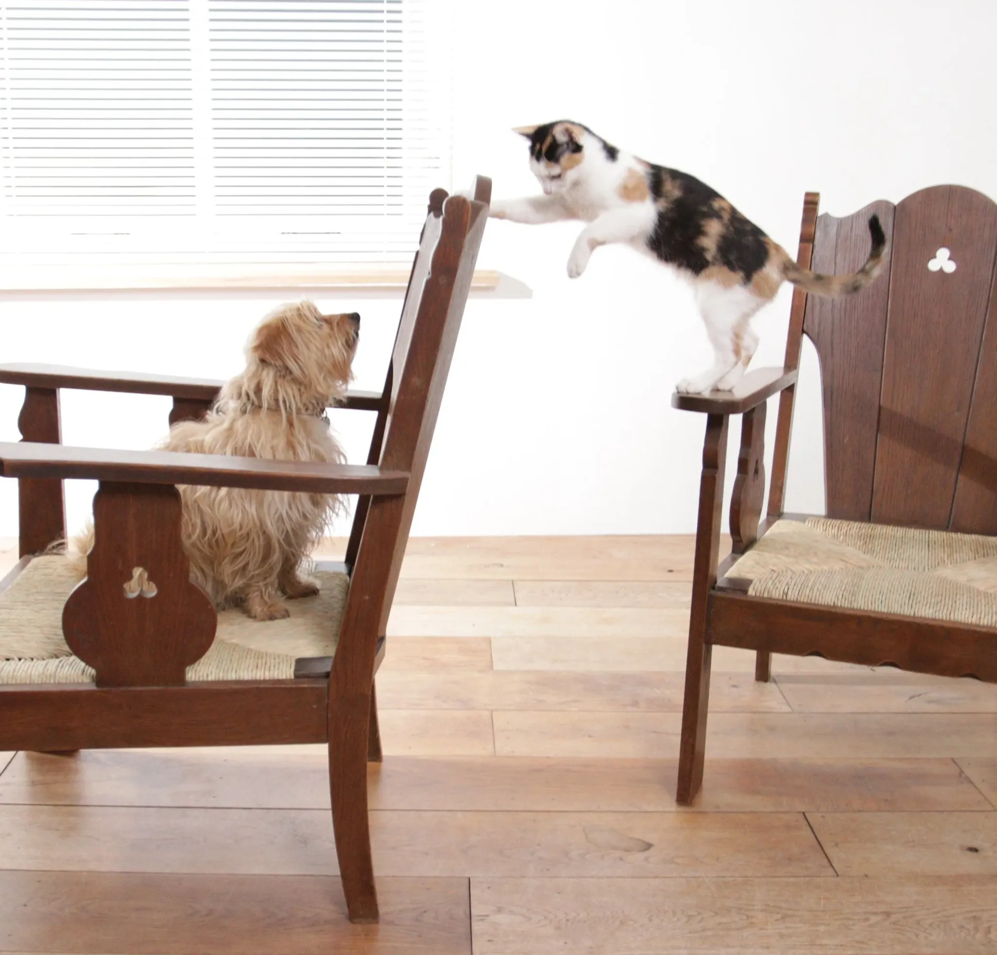 Pair of low Brutalist oak lounge chairs with new rush seats – circa 1935