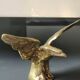 Eagle figurine sculpture with outstretched wings, in solid brass. Size 8 x 15 cm