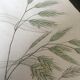 Trio de planches d’herbes Ed Sowerby Londres 1809