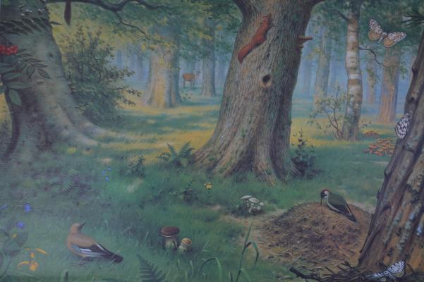 School without the forest, 1960 vintage card s