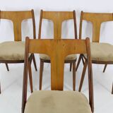 1950s Set of Four Restored Dining Chairs in Walnut, Czechoslovakia