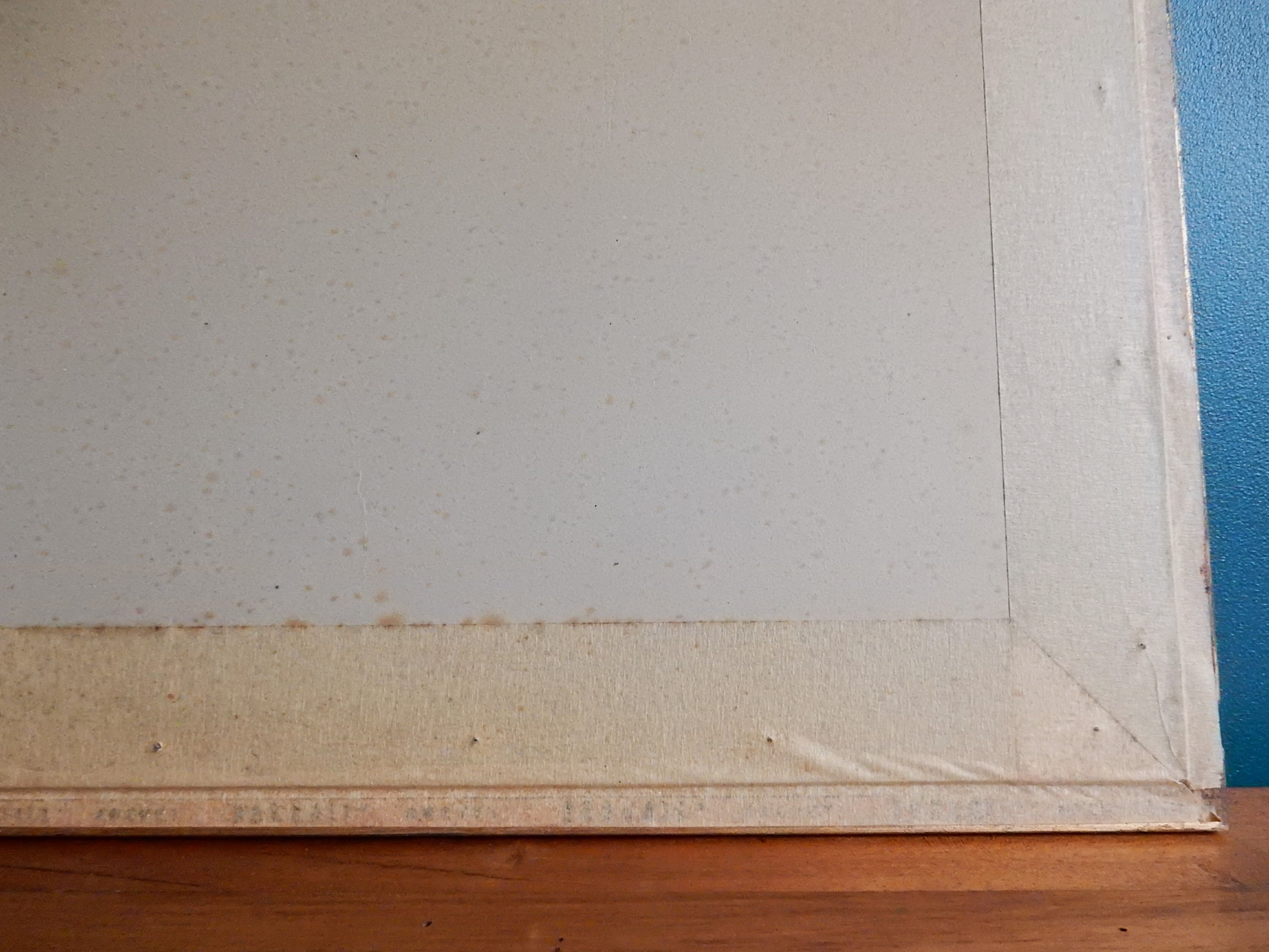 Odalisques engraving XIXth signed Luigi Crosio