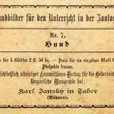 Poster from the series'Wandbilder für den Unterricht in der Zoologie'