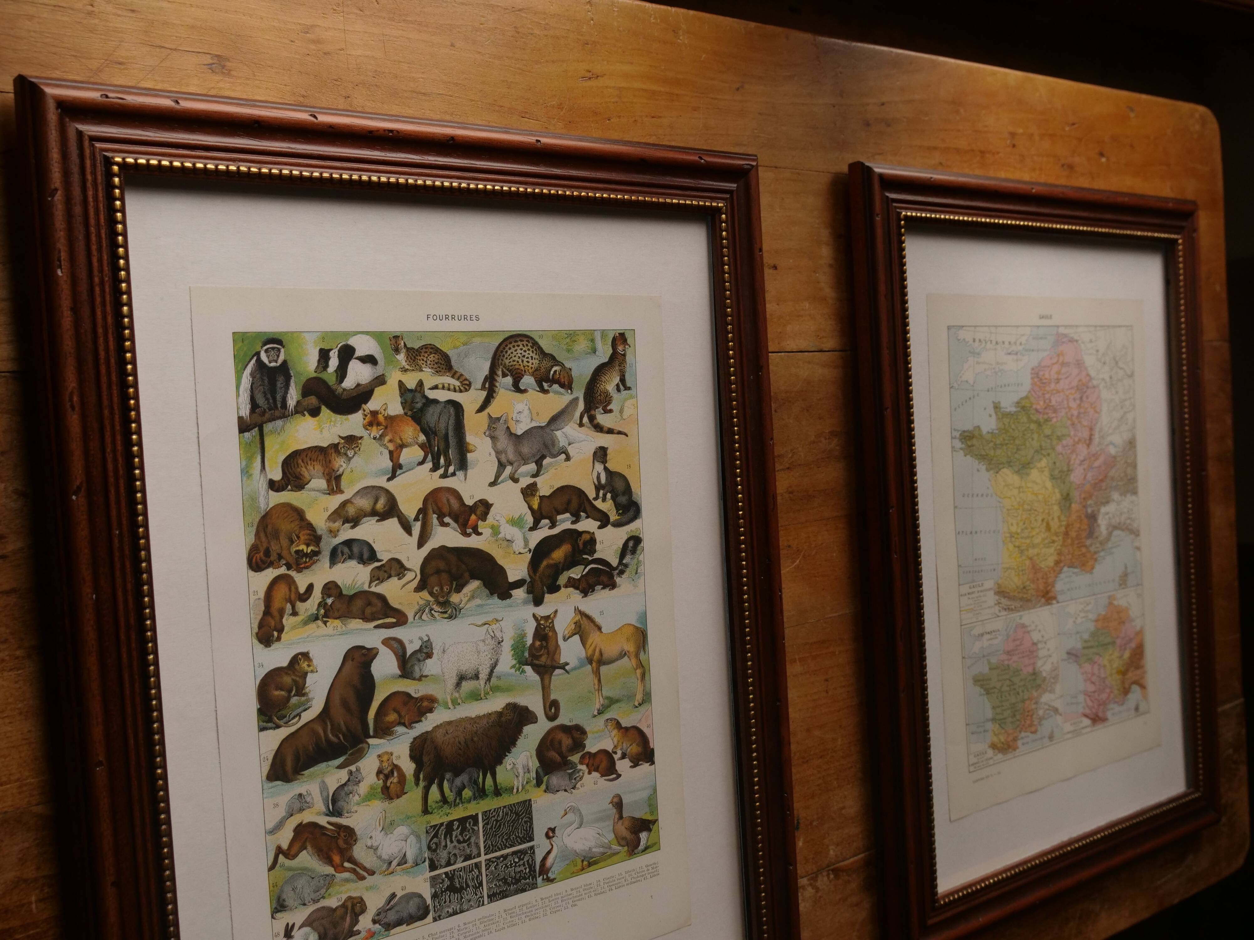 Original lithograph on France (physics + agricultural and forestry)