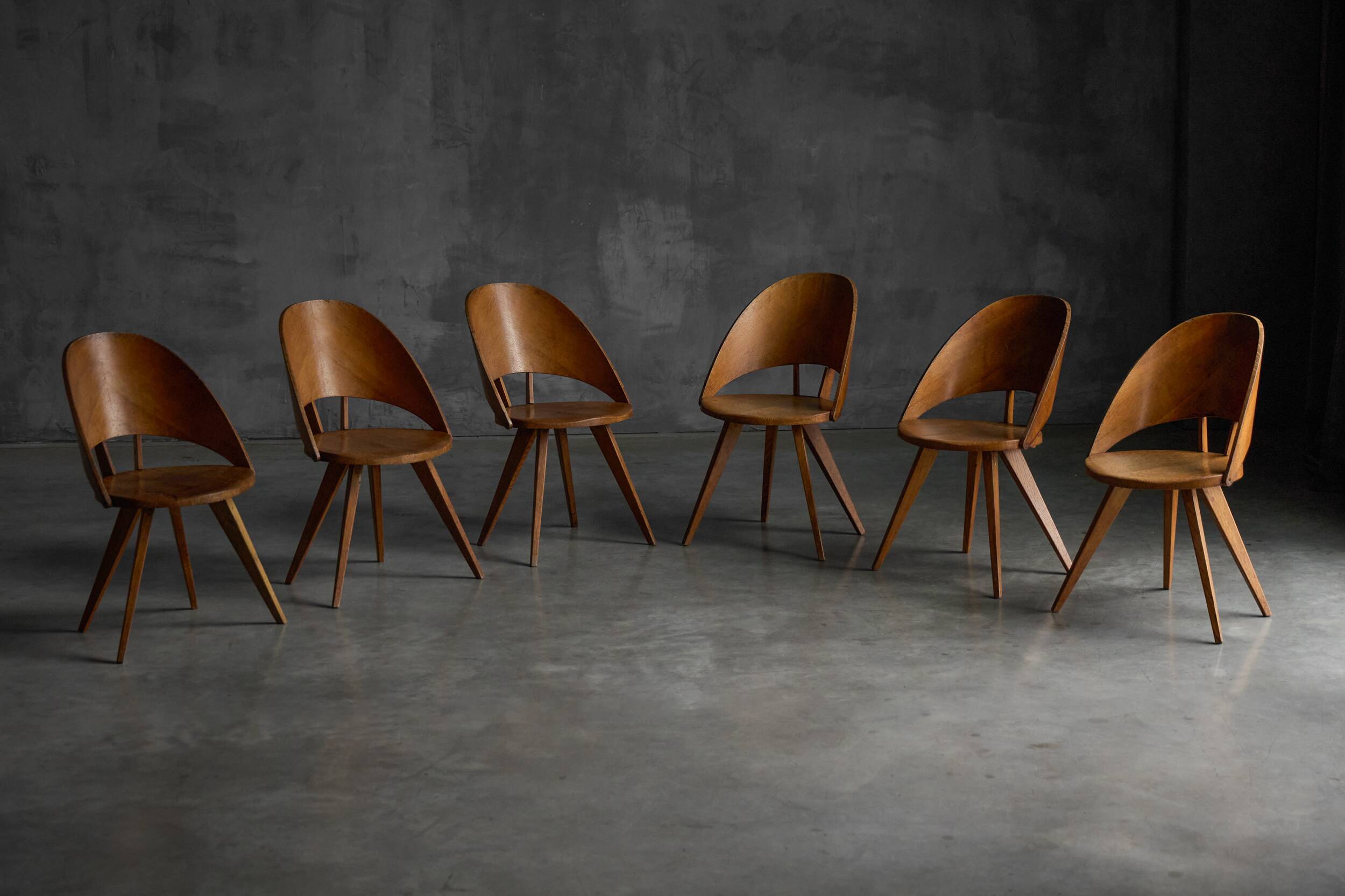 Chaises de salle à manger en contreplaqué, Italie, années 1950