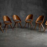 Chaises de salle à manger en contreplaqué, Italie, années 1950