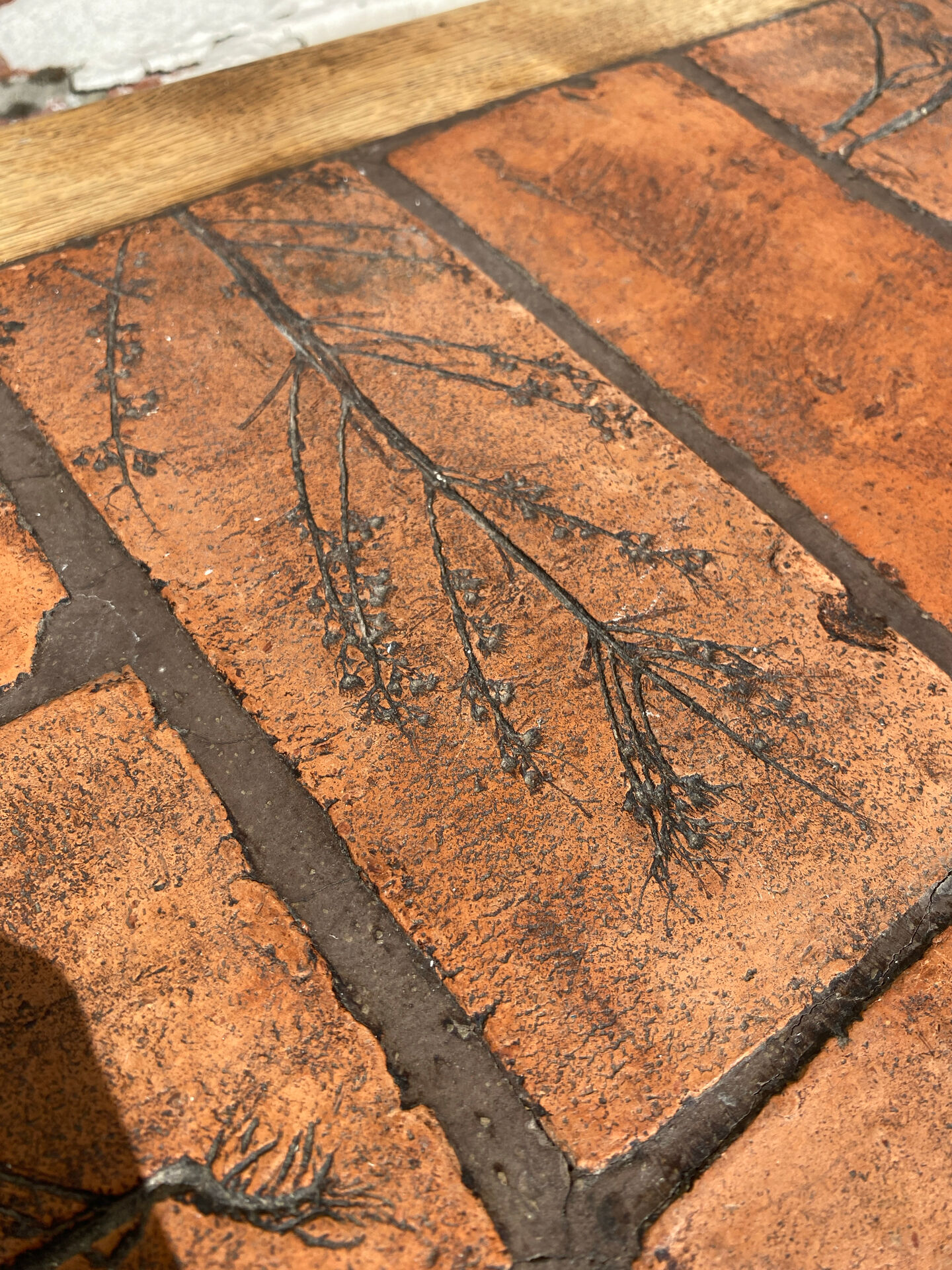 Herbarium coffee table P. Garnier