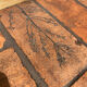 Herbarium coffee table P. Garnier