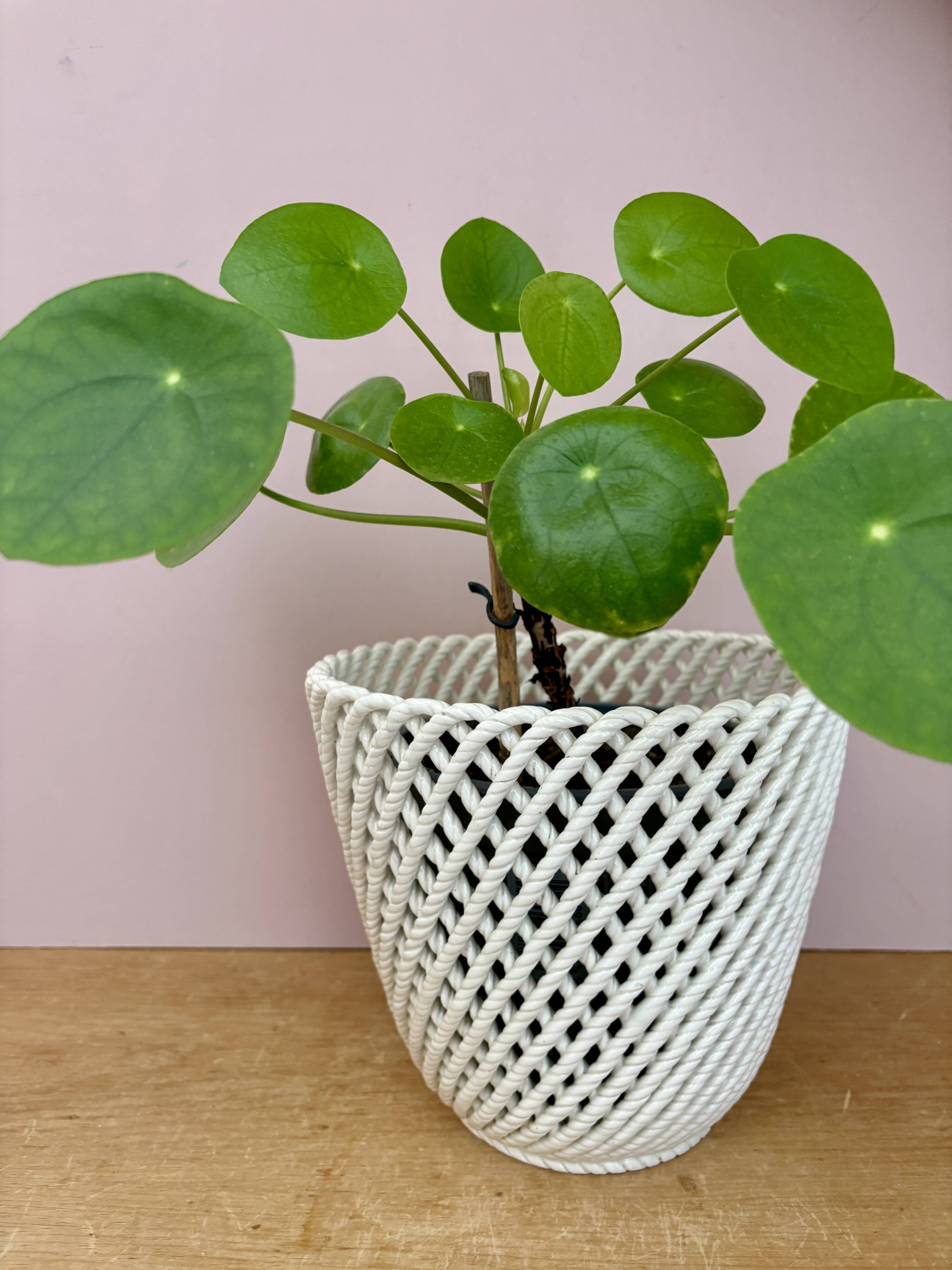 Vintage woven ceramic plant pot