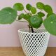 Vintage woven ceramic plant pot