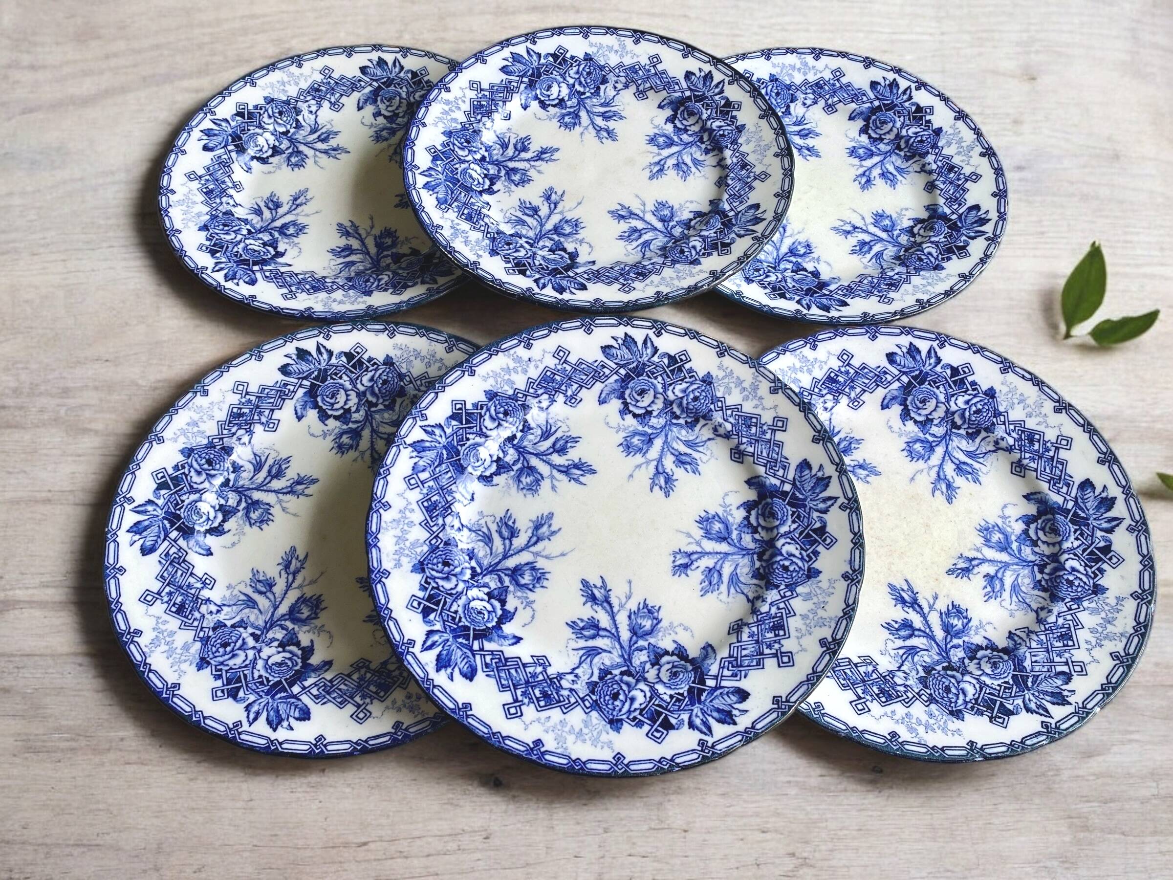 6 flat plates, Creil and Montereau earthenware, late 19th century, Flora decor