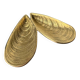 Mussel shell vide-poche in bronze, Italy, 1970s