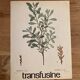 Botanical poster the Royal Pepper