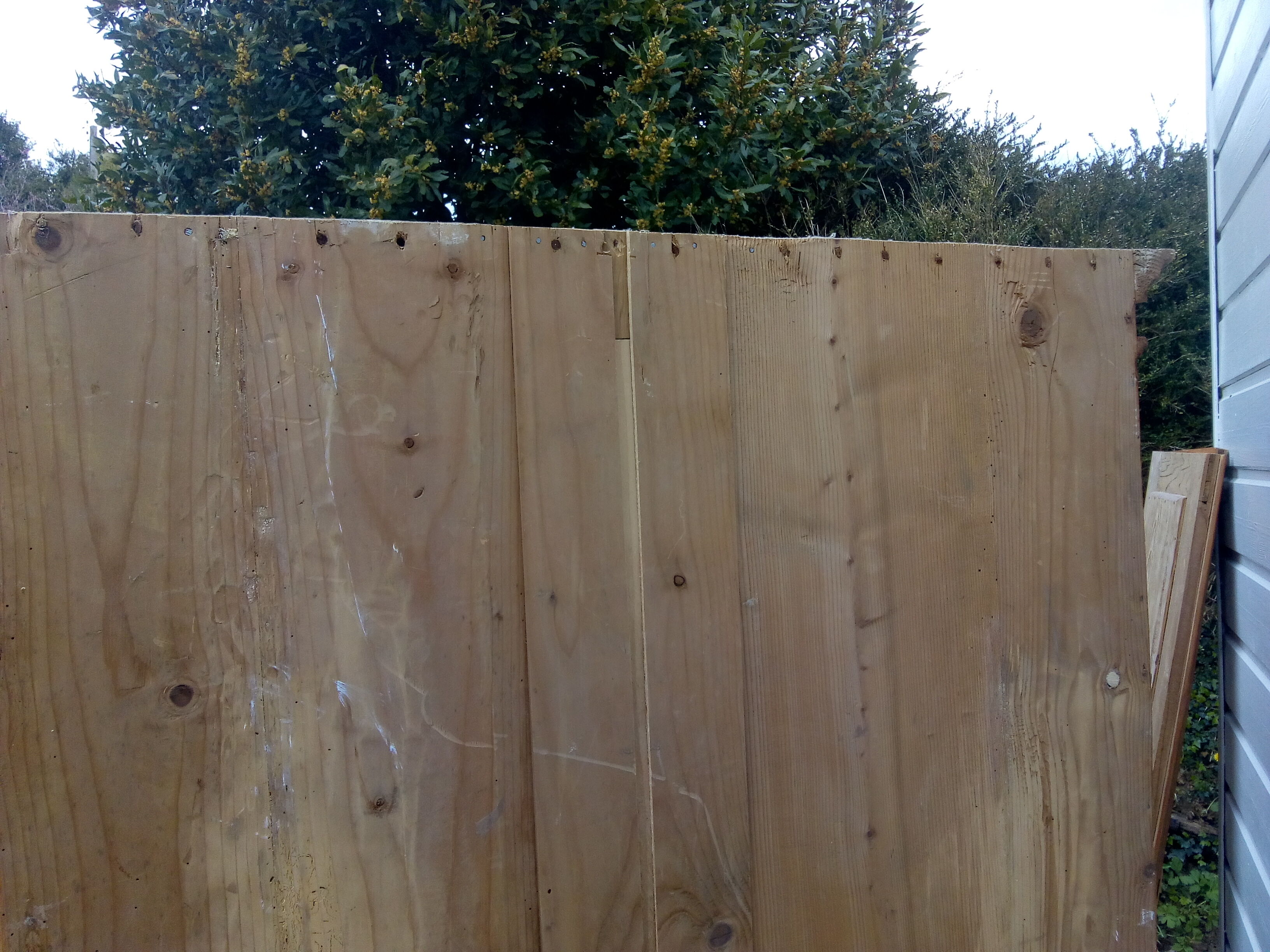 English pine cabinet