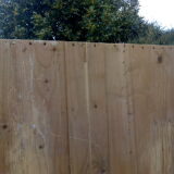 English pine cabinet