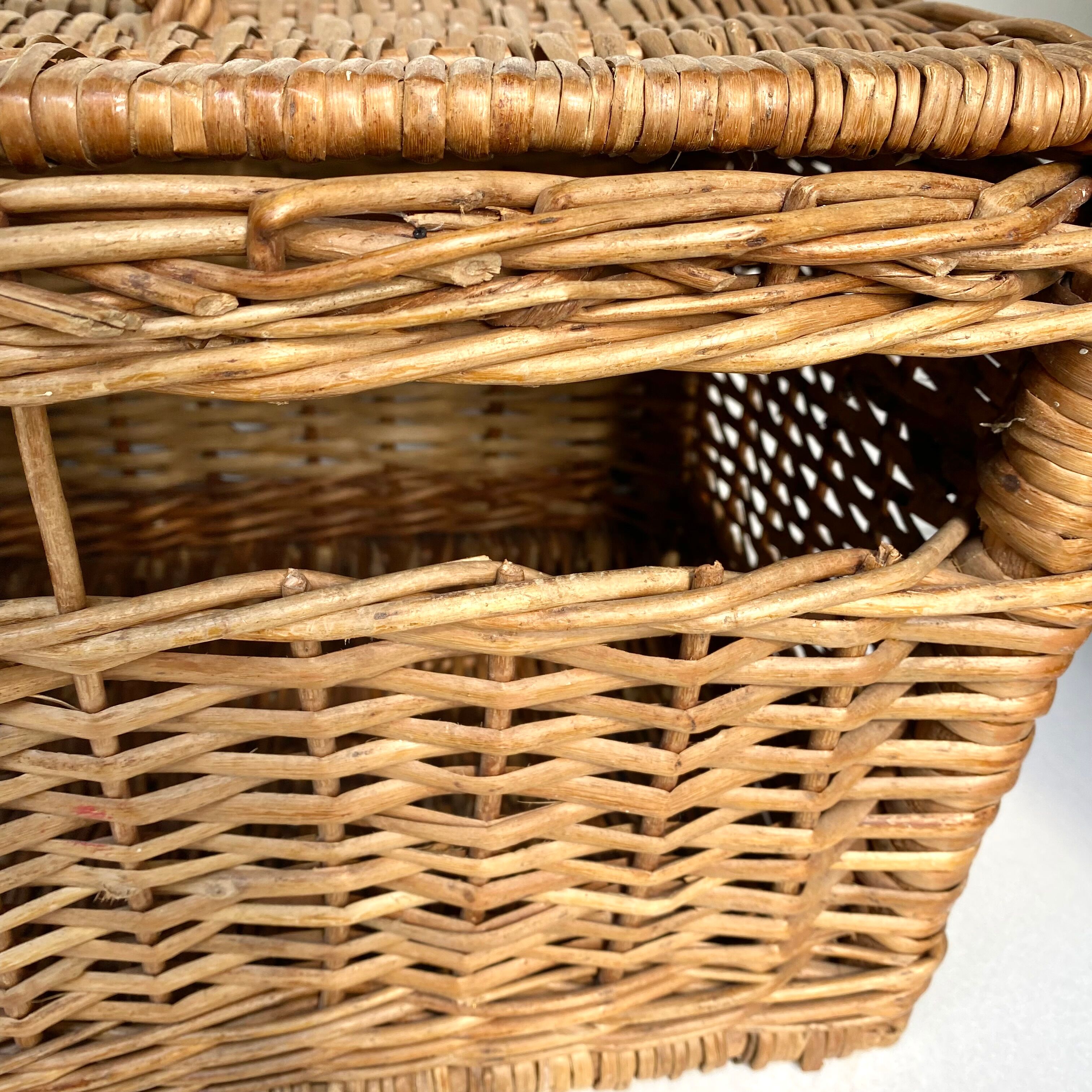Vintage wicker trunk