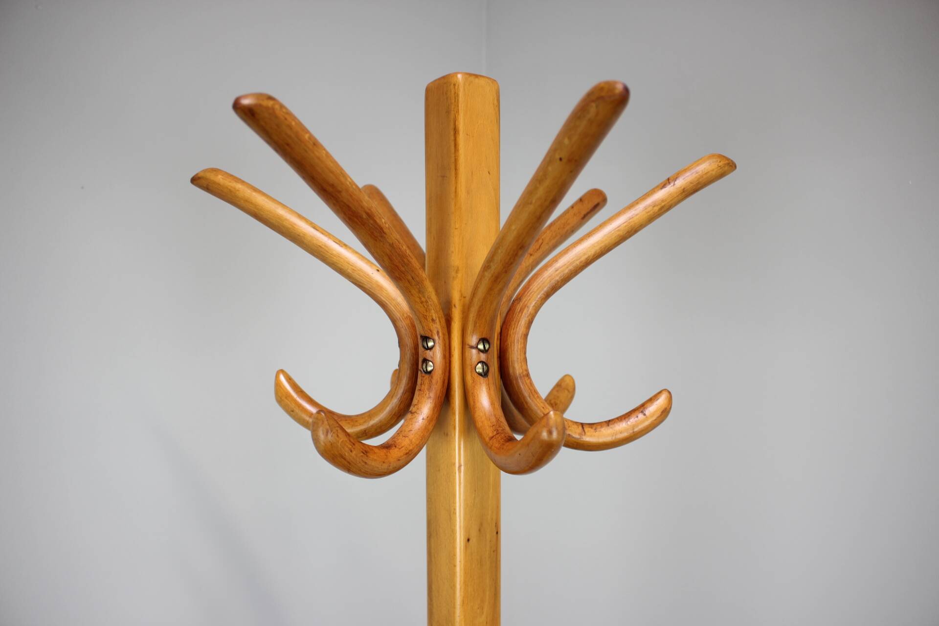 Vintage coat rack in the shape of a parrot in Bentwood - Thonet style - Early 20th century