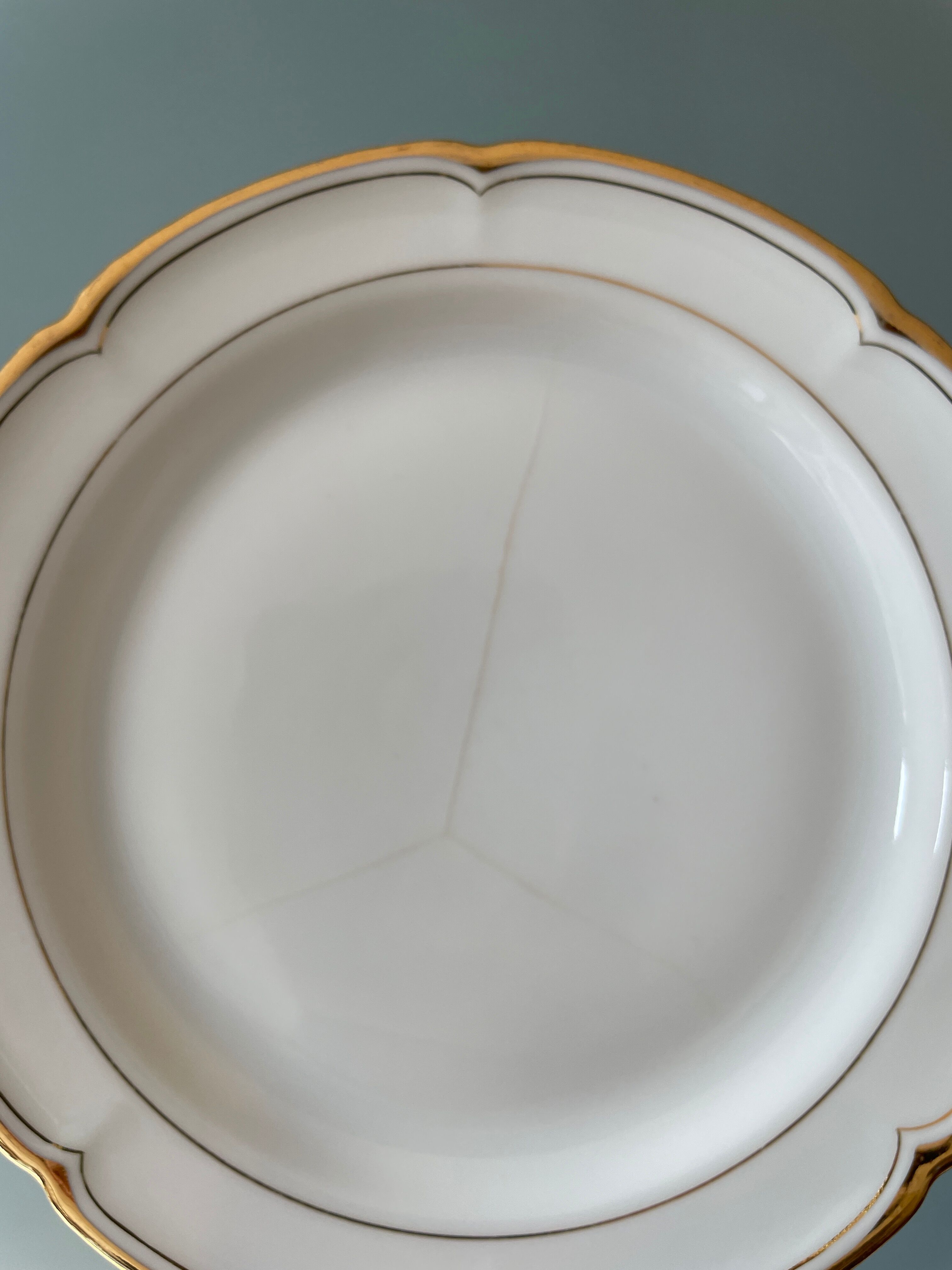 Series of 11 antique dessert plates in Vierzon porcelain