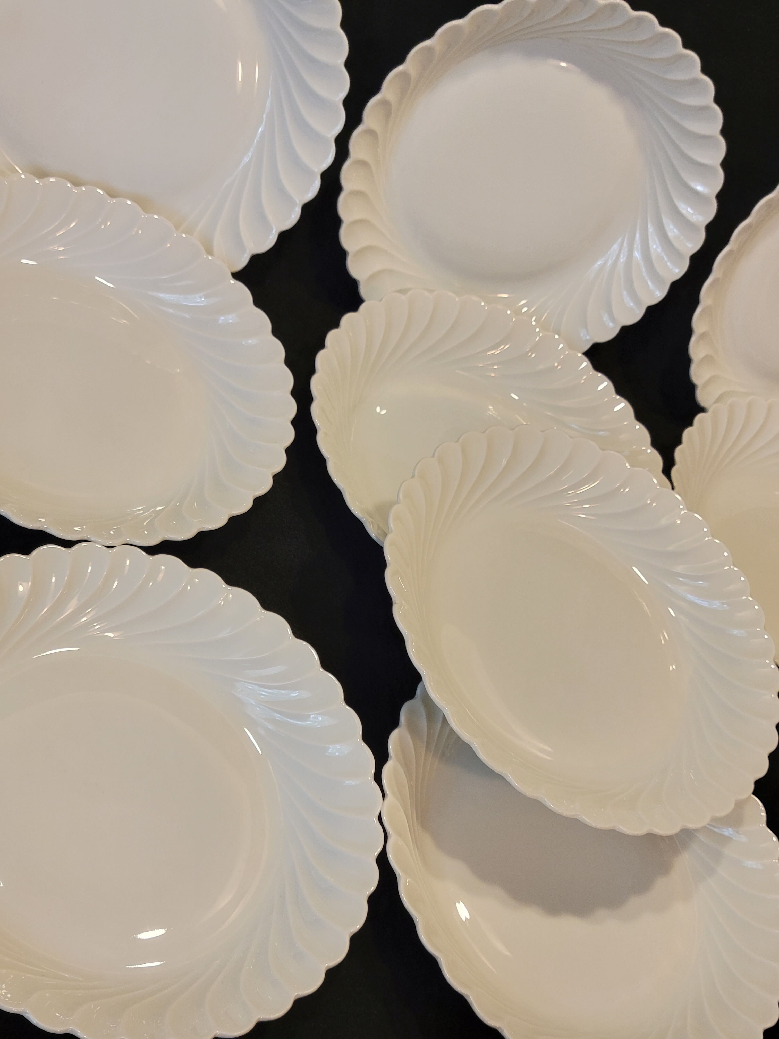 10 Haviland Torso Plates Diameter 19.5 Cm