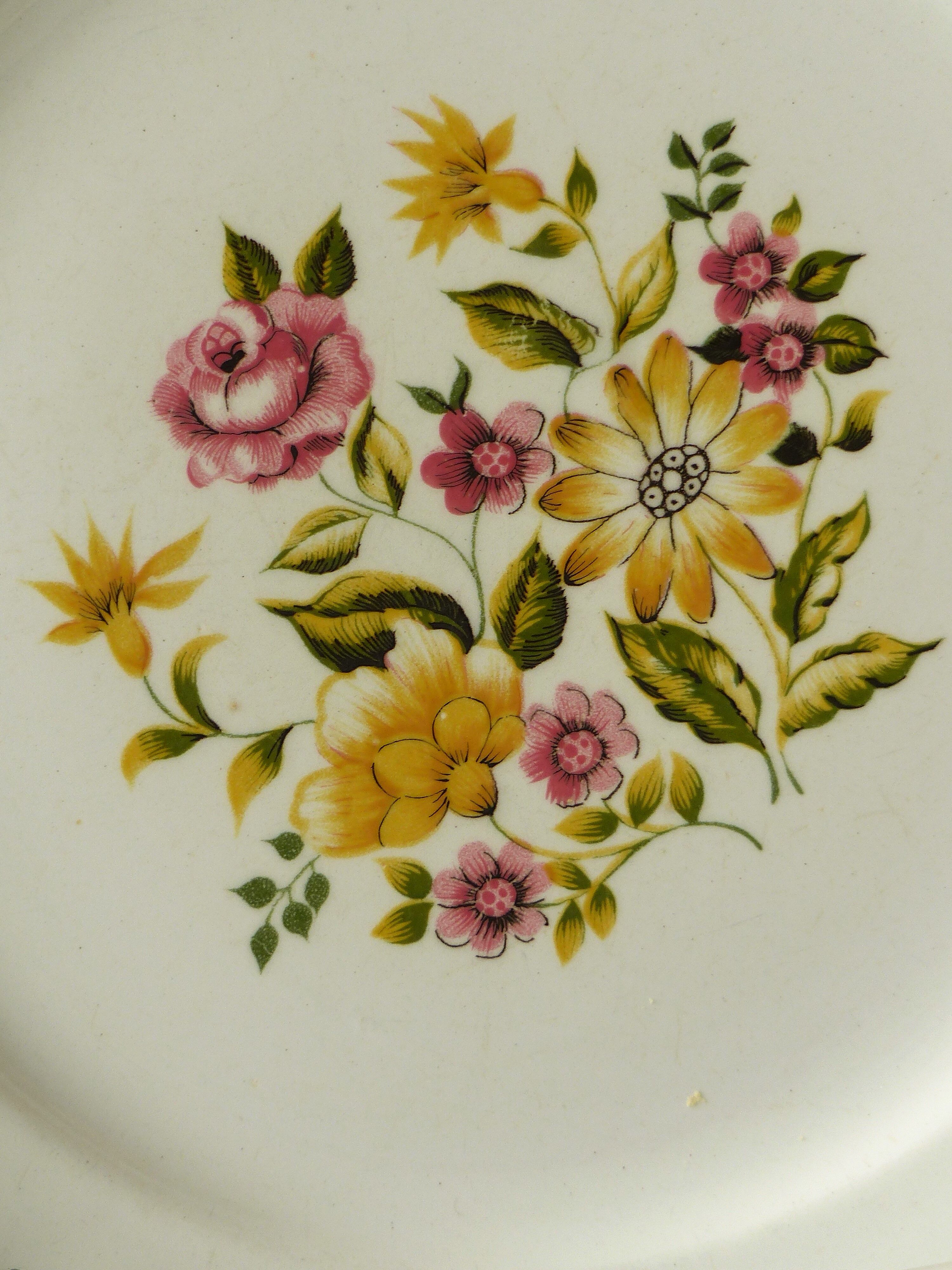 2 plates Moulin des Loups France