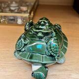 Turtle collection