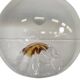 Vintage glass globe lamp / pendant lamp by Carlo Nason for Mazzega
