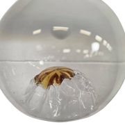 Vintage glass globe lamp / pendant lamp by Carlo Nason for Mazzega
