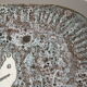 Vintage ceramic wall decoration 1960