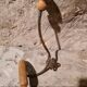 Porte manteau vintage