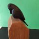 Pair of sculpted oak bookends – The Crow and the Fox