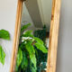 Large 19th century wall mirror in solid wood (available)
