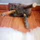 Stool handicraft